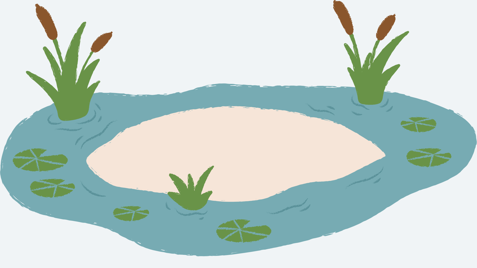 A calm pond with lily pads and cattails — a still moment in nature